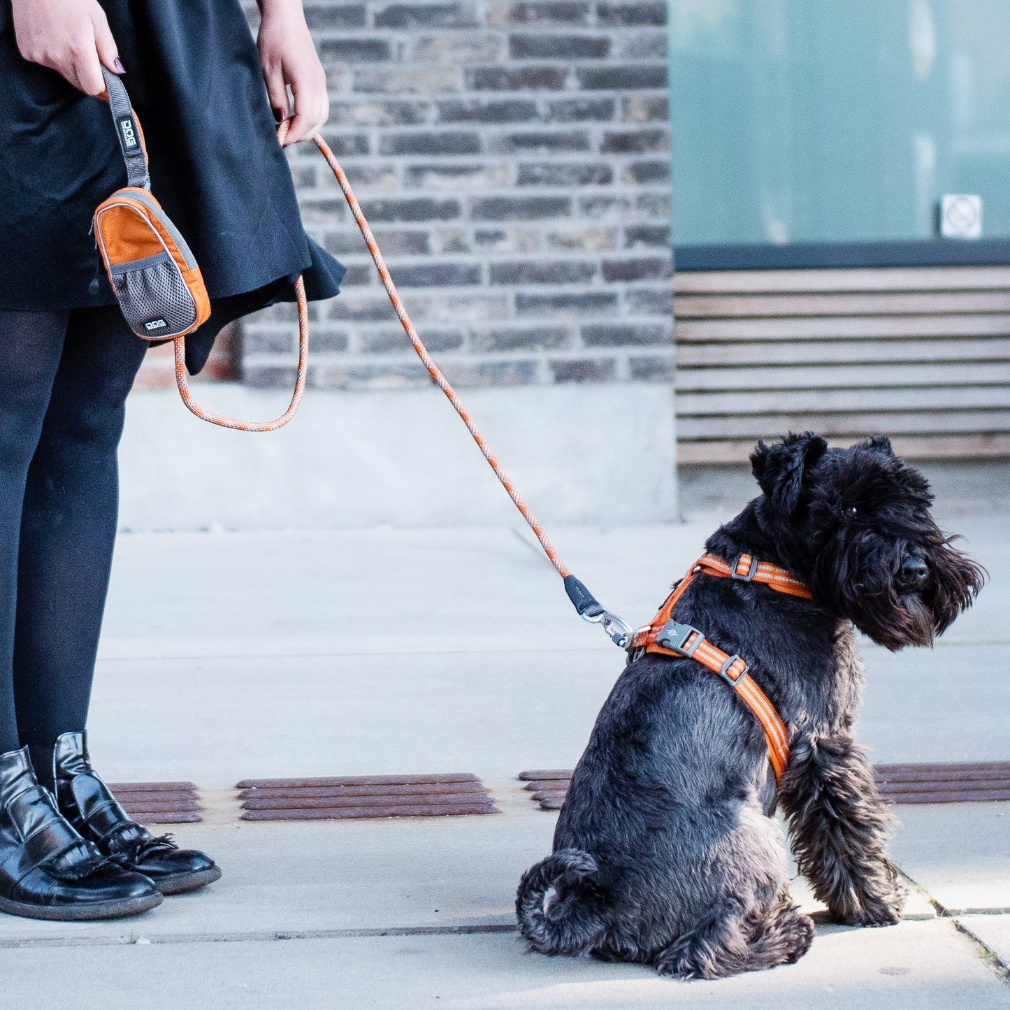 DOG Copenhagen Pouch Organiser Leash Bag