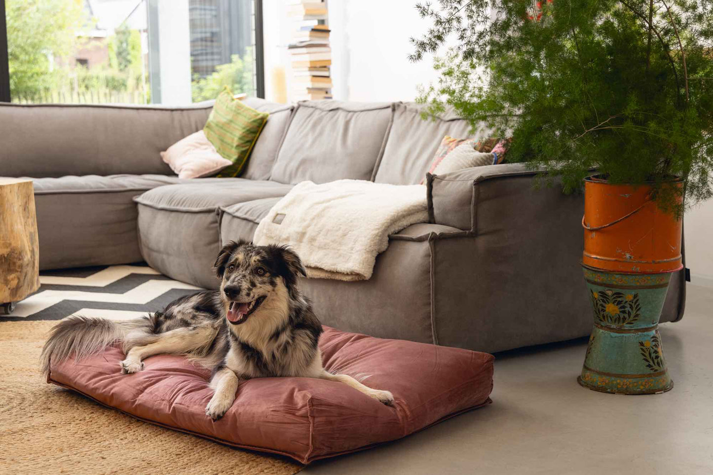 NALINO Rose Velvet Dog Cushion
