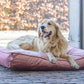 NALINO Rose Velvet Dog Cushion