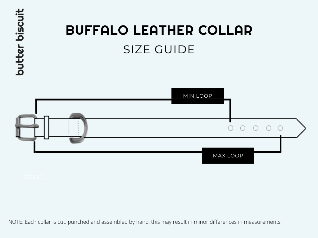 Buffalo Leather Dog Collar