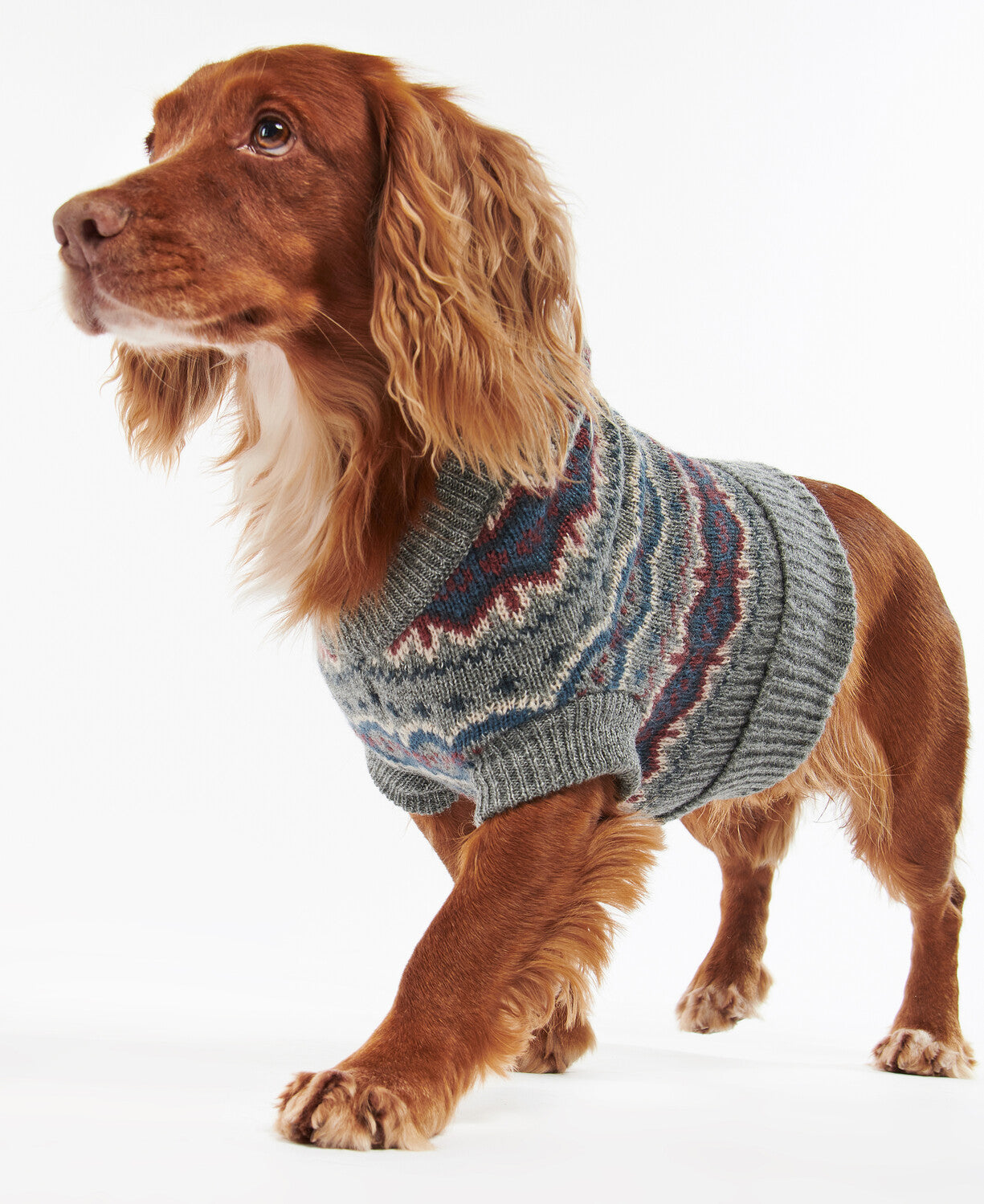 Barbour Fair Isle Knitted Dog Jumper
