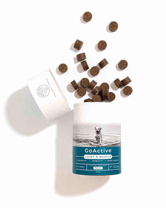 GoActive for Joints & Muscles