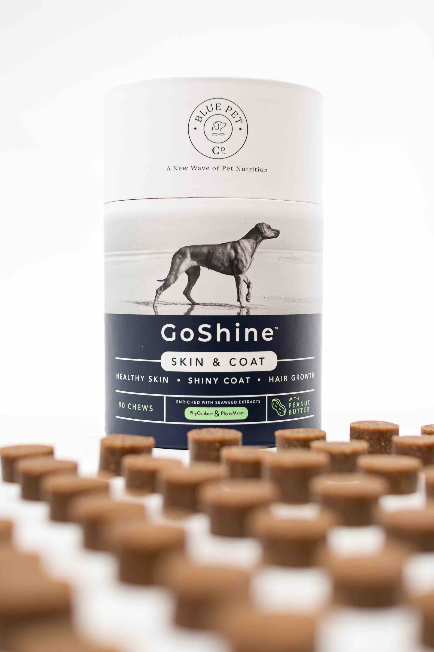 GoShine for Skin & Coat