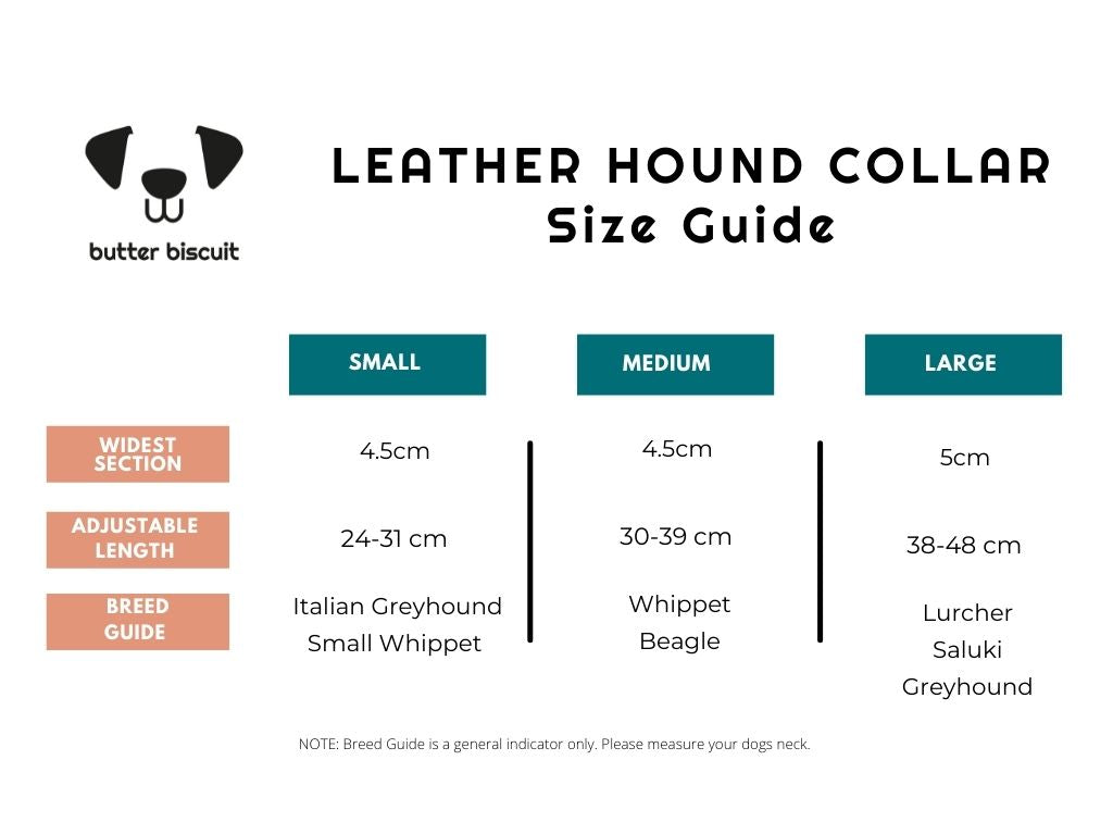 Leather Dog Collar Hound