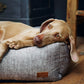 UNNAY Luxury Dog Bed